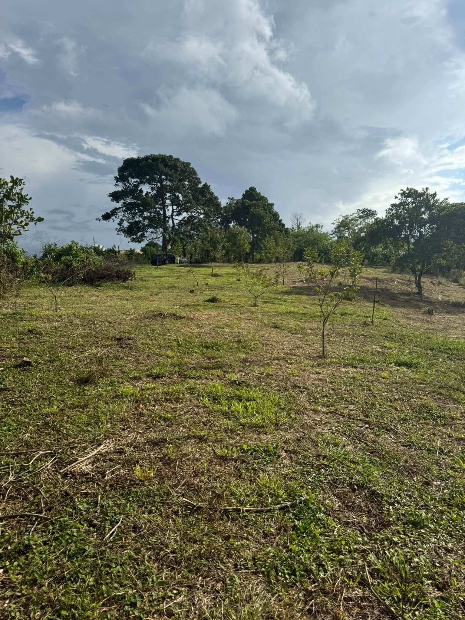 Lotes en venta en Montecillos, imagen 4