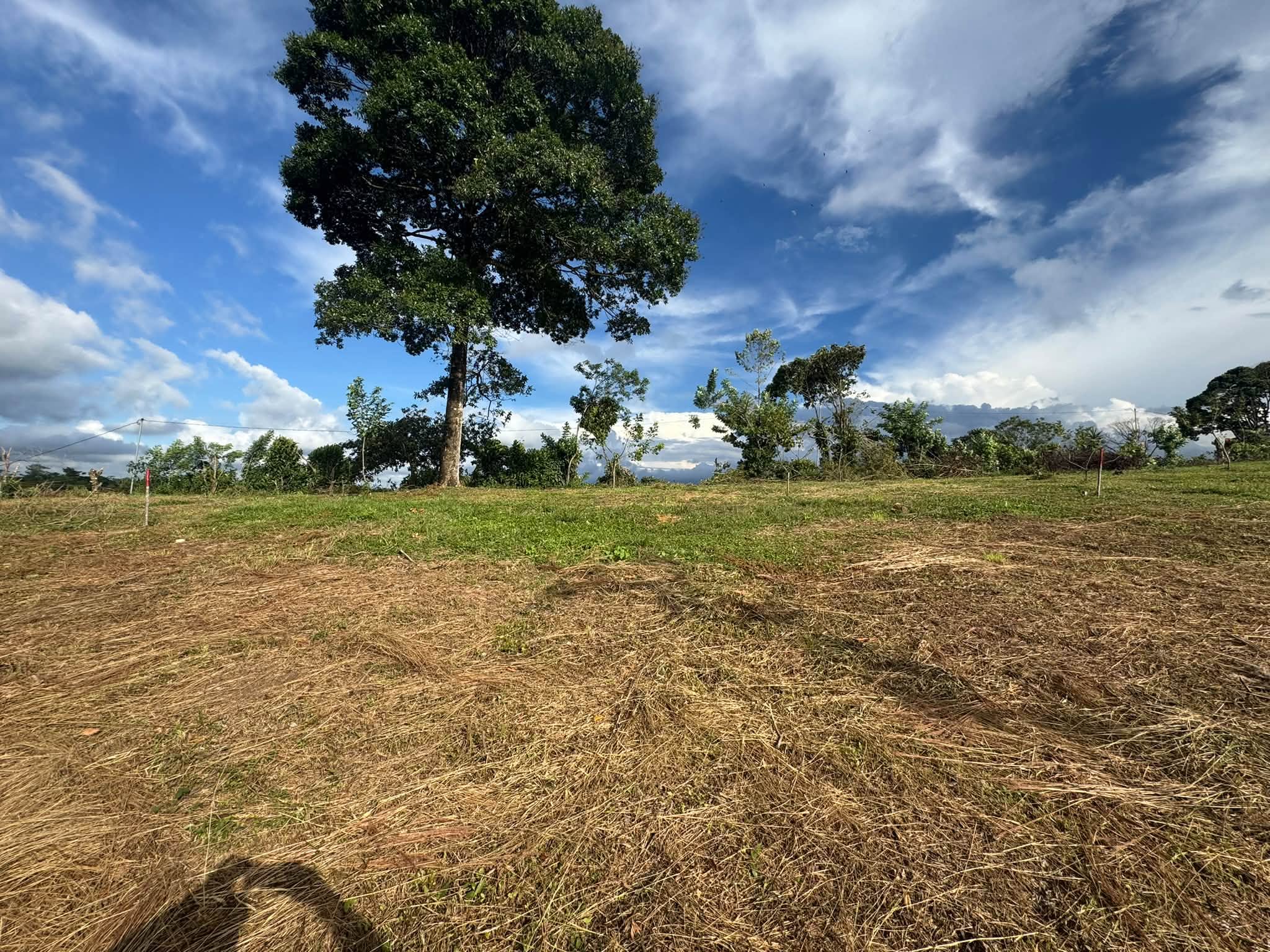 Lotes en venta en Montecillos, imagen 5