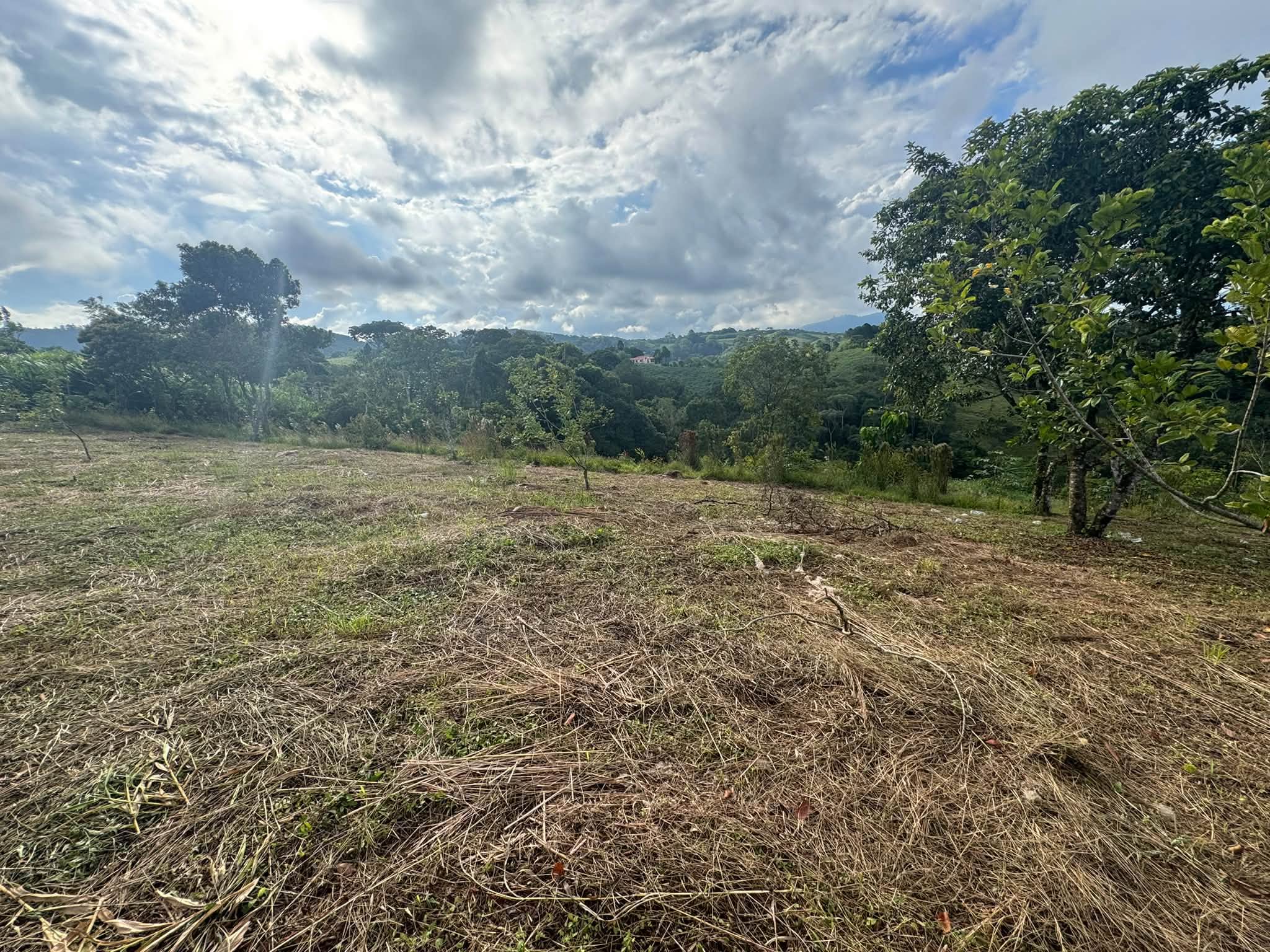 Lotes en venta en Montecillos, imagen 7