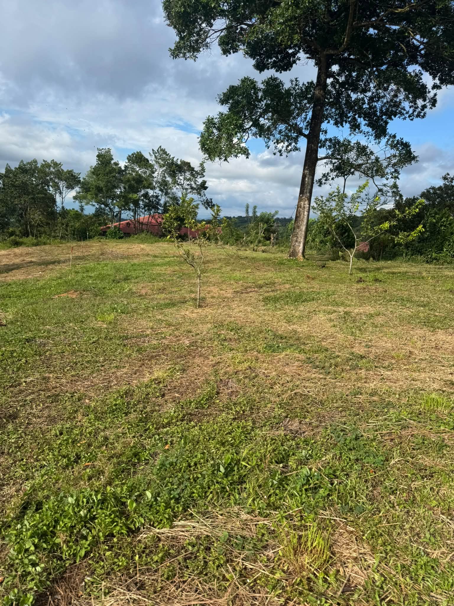 Lotes en venta en Montecillos, imagen 9